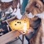 nachtlampje, Leeuw Eerste Licht, medium - MR MARIA
