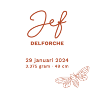 Jef Delforche