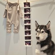 Baby Boelens
